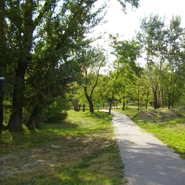 Peace in green surroundings